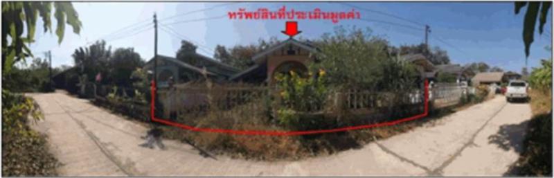 บุ่งคล้า บุ่งคล้า บึงกาฬ