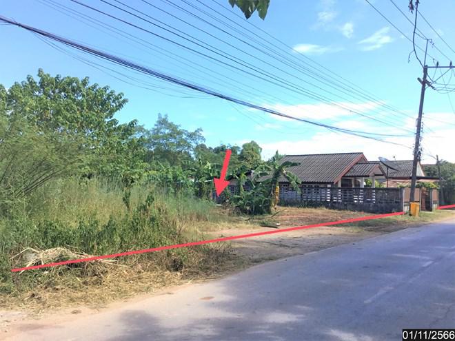 วิศิษฐ์ เมืองบึงกาฬ บึงกาฬ