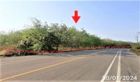 ขายที่ดินว่างเปล่า