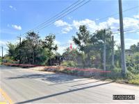 ขายบ้านเดี่ยว